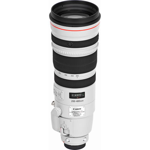 Canon EF 200-400mm f/4L IS USM + 1.4x Extender