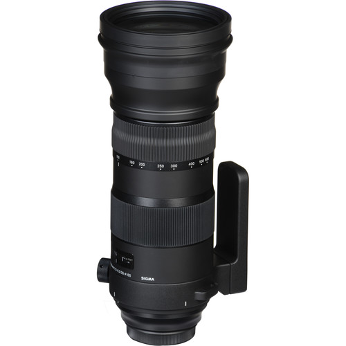 Sigma 150-600mm f/5-6.3 DG OS HSM Sports