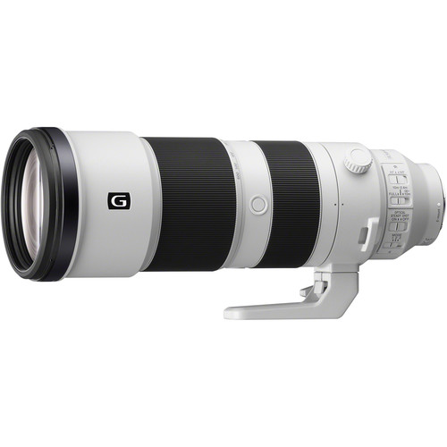 Sony FE 200-600mm f/5.6-6.3 G OSS | Meilleurs objectifs recommandés pour le Sony a7R IV