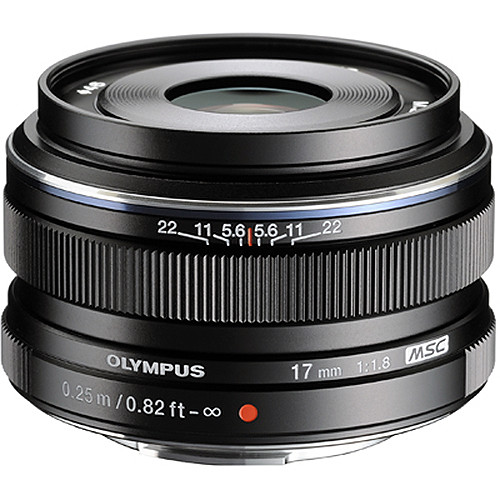 Panasonic 20mm f/1.7 II meilleur pour OM D EM1 Mark III
