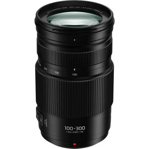 Panasonic 100-300mm f/4-5.6 II objectif photo spot pour Olympus OMD EM 1 Mark III